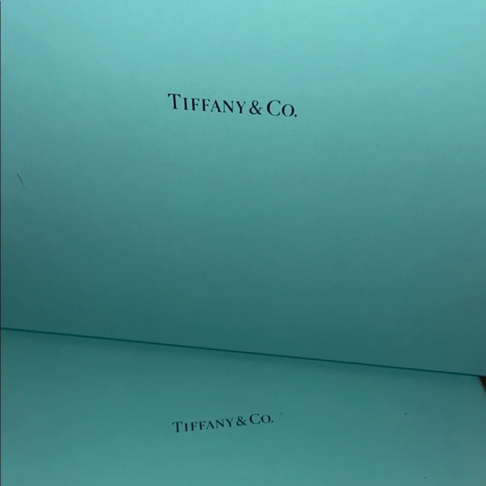 Tiffany & Co. Blue Gift Box Set of 2 - Picture 2 of 4